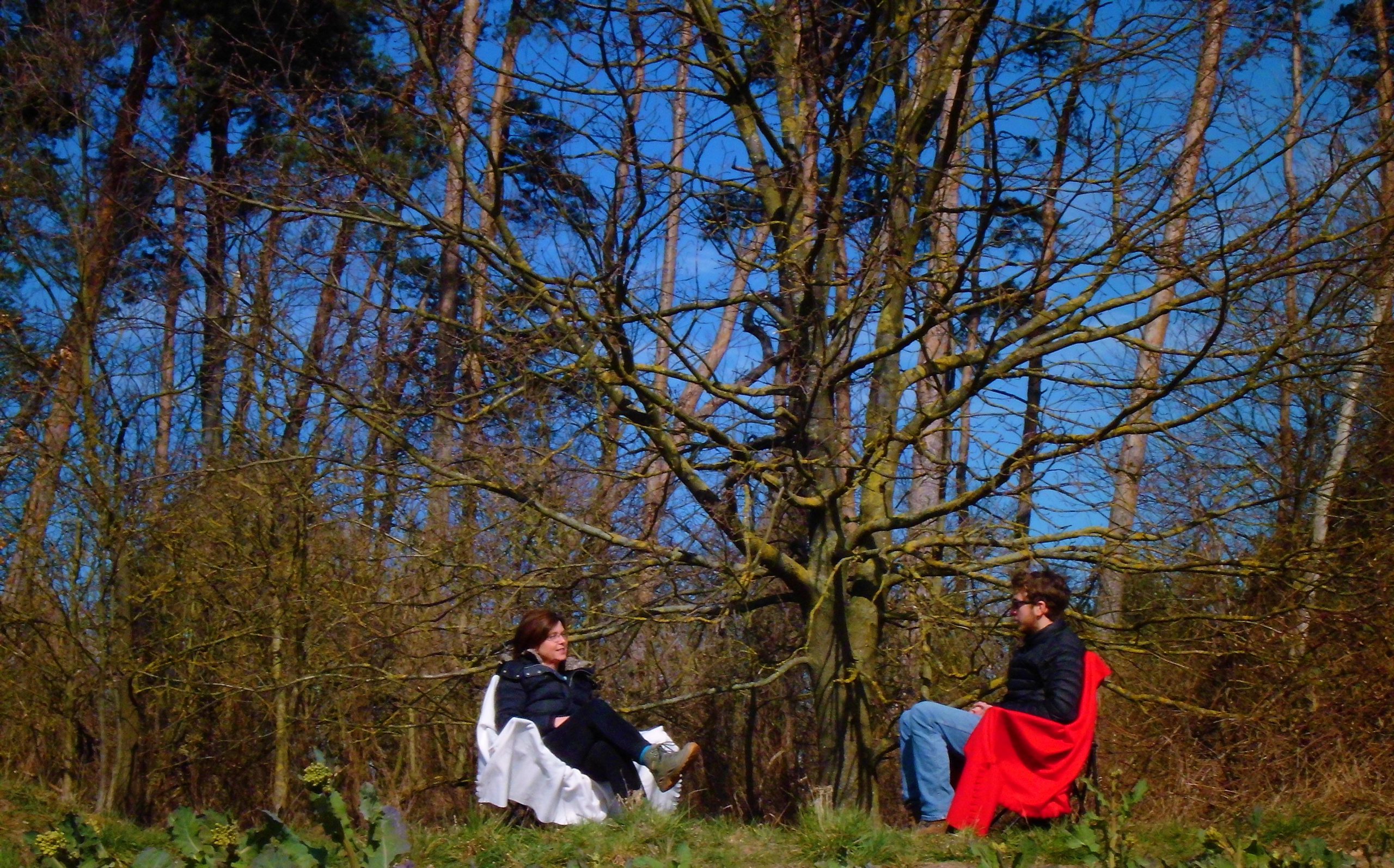 Coaching unter freiem Himmel